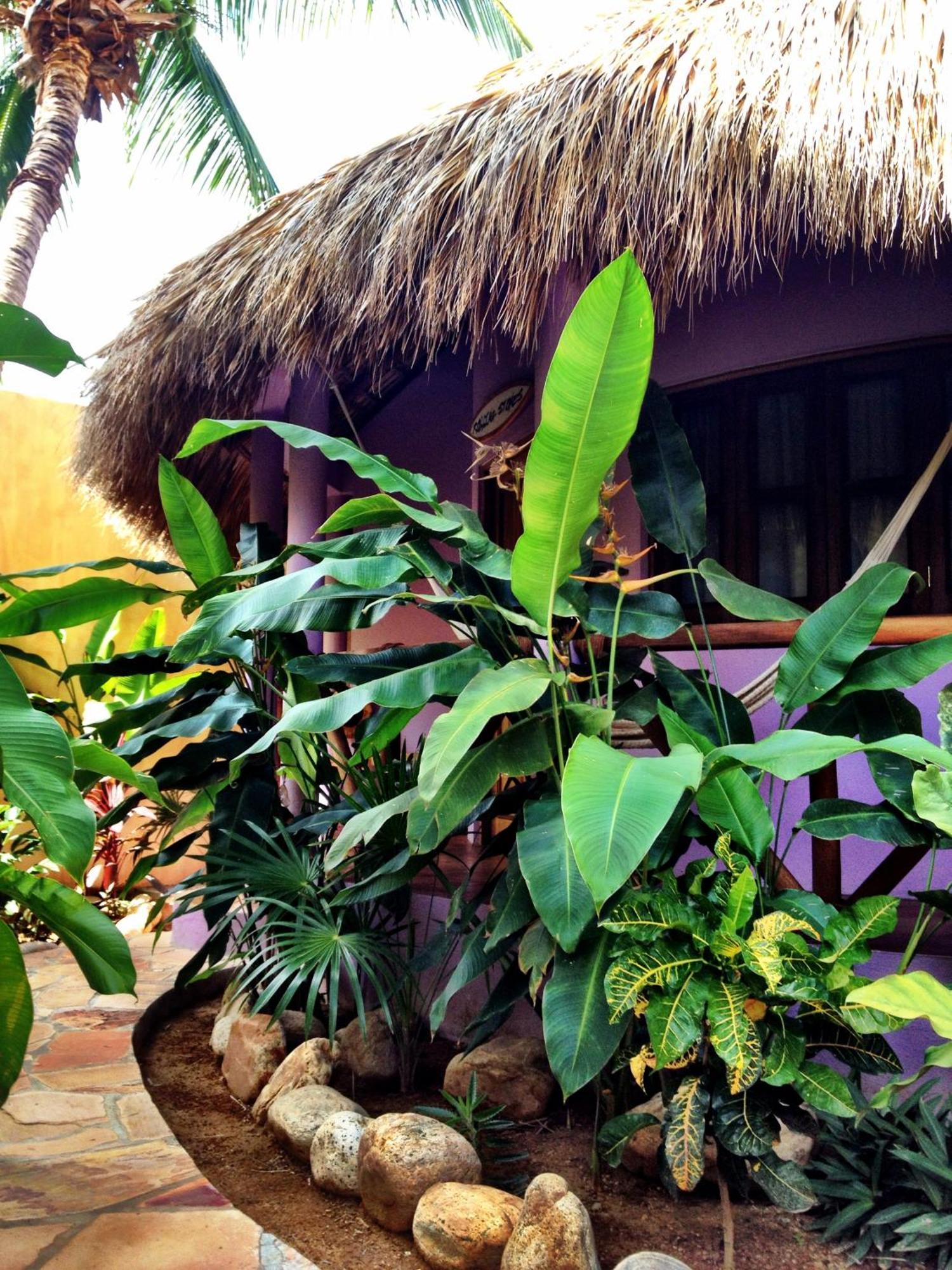 One Love Hostal Puerto Escondido Szoba fotó